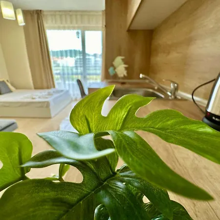 Menada Sea Dreams Apartament Święty Włas