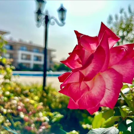 Apartament Menada Sea Dreams Święty Włas