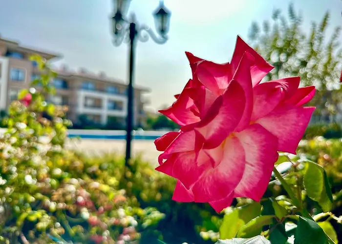 דירה Menada Sea Dreams סבטי ולאס