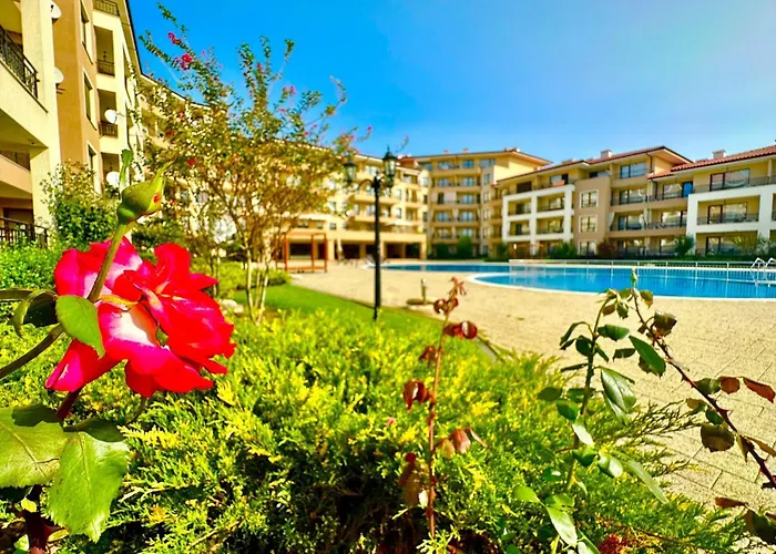 Menada Sea Dreams סבטי ולאס